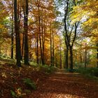 herbstlicher Weg