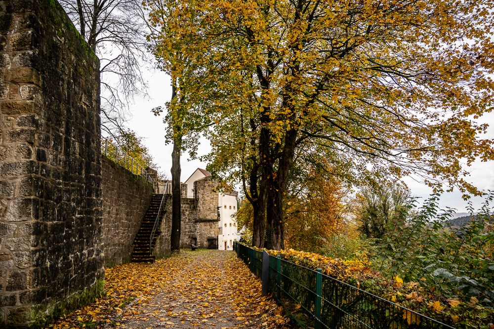 Herbstlicher Weg 3