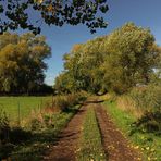 Herbstlicher Weg