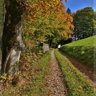 herbstlicher Weg