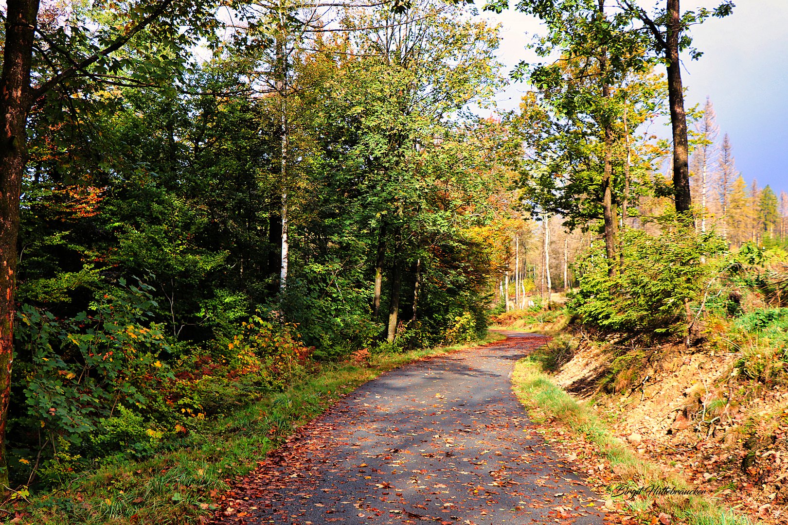 Herbstlicher Weg