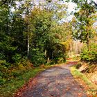 Herbstlicher Weg