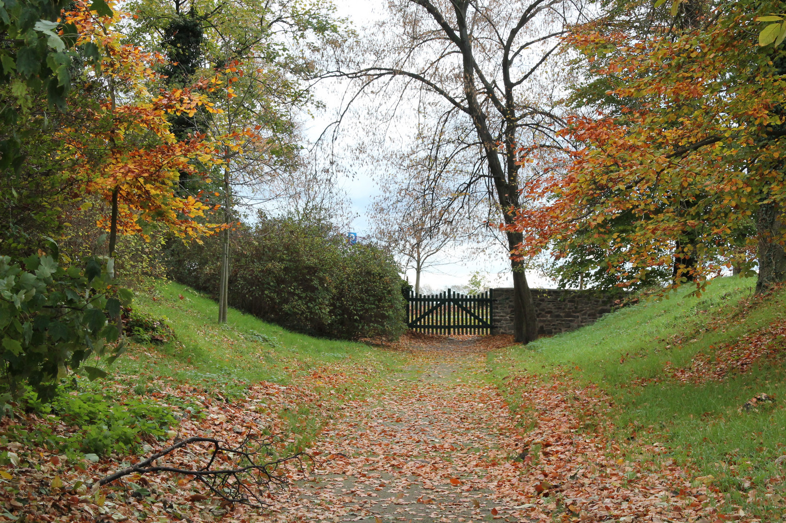 Herbstlicher Weg,