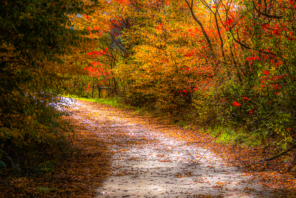 Herbstlicher Weg