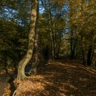 Herbstlicher Weg an der Düssel