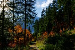 herbstlicher Weg