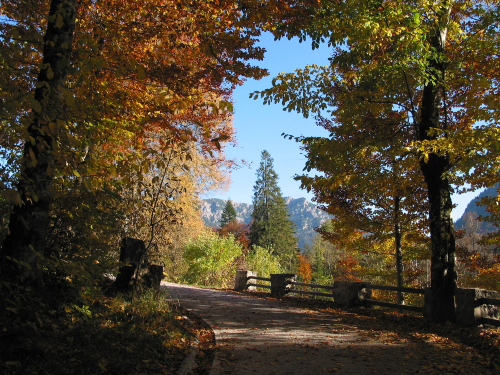 Herbstlicher Weg bei Schloss "Linderhof".
