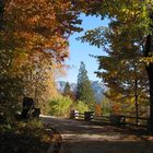 Herbstlicher Weg bei Schloss "Linderhof".