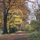 Herbstlicher Weg