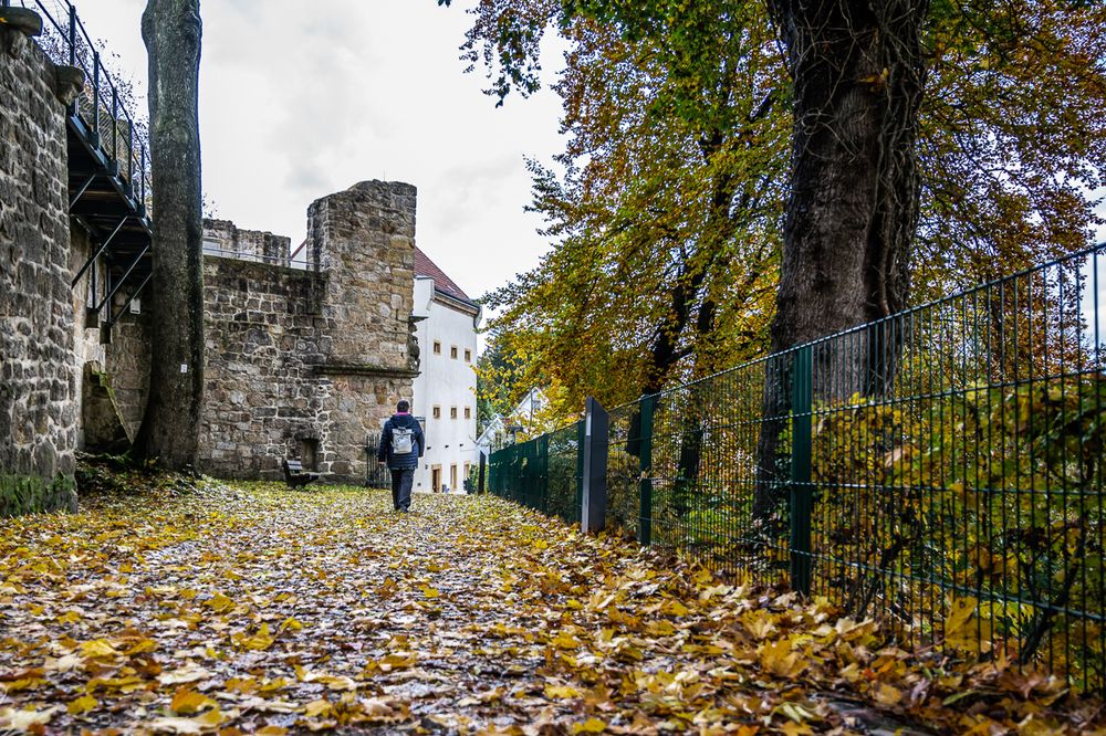 Herbstlicher Weg