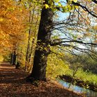 Herbstlicher Weg