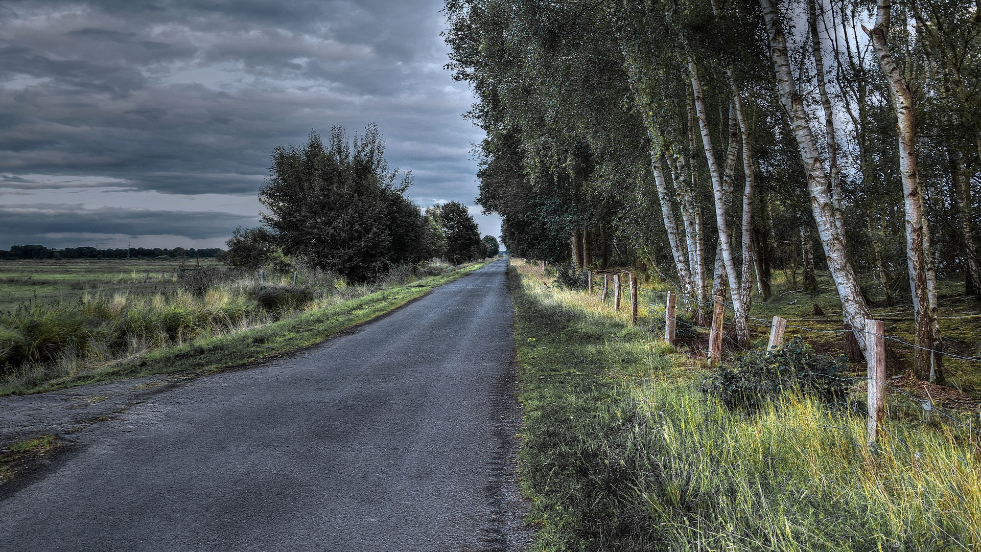 Herbstlicher Weg im Bremer Blockland