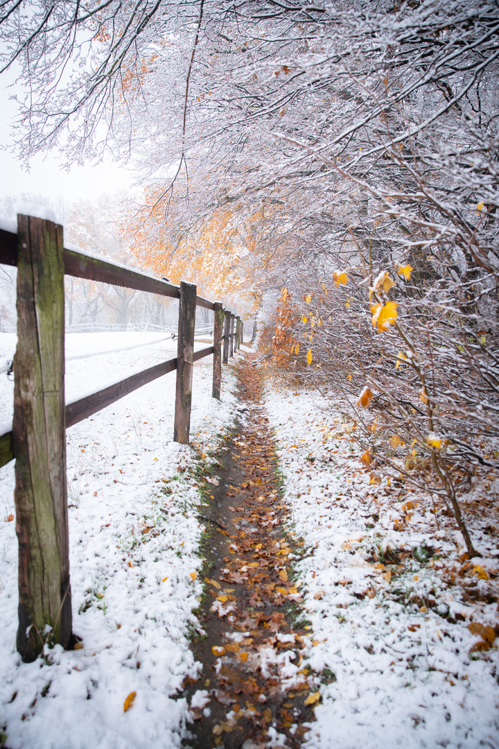 Herbstlicher Weg im Winterkleid