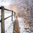 Herbstlicher Weg im Winterkleid