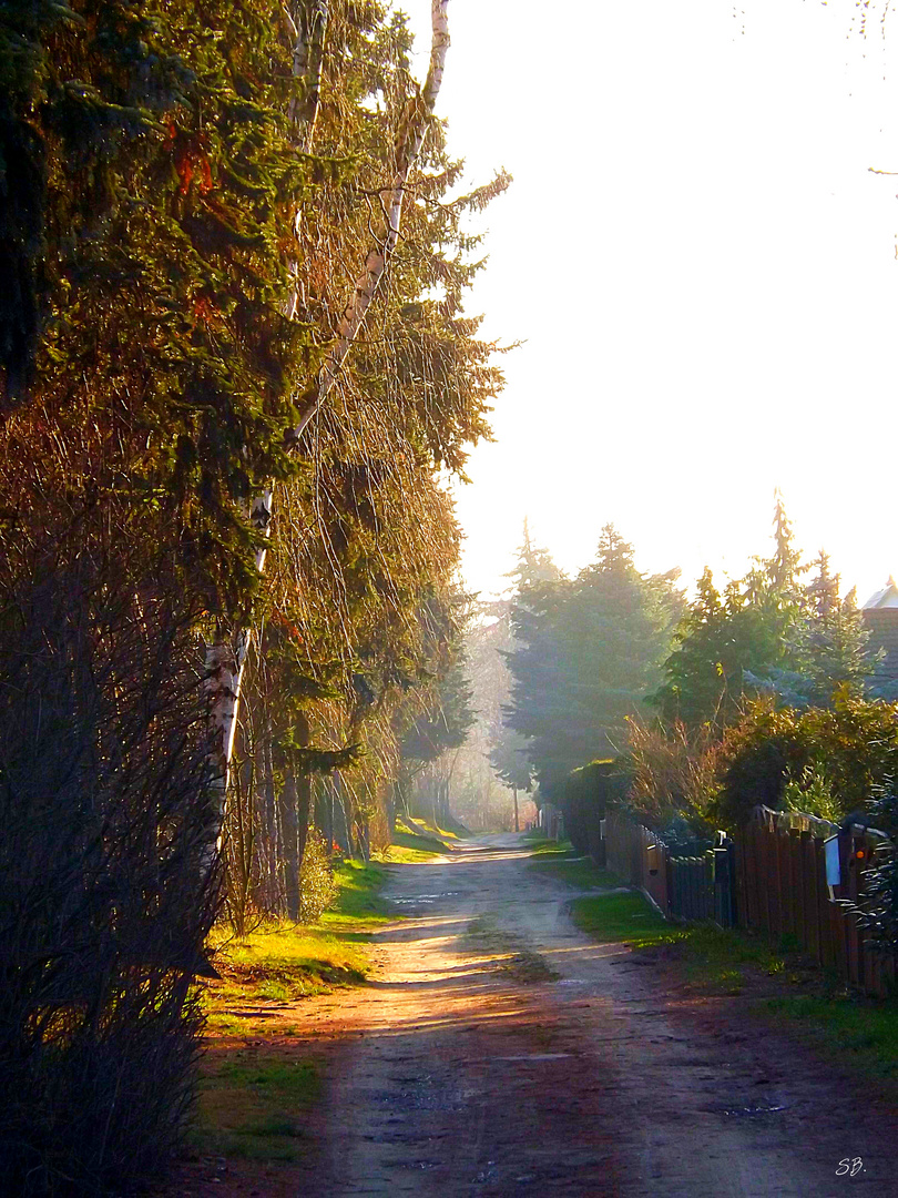 herbstlicher Weg mit Nebel