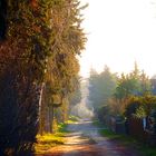 herbstlicher Weg mit Nebel