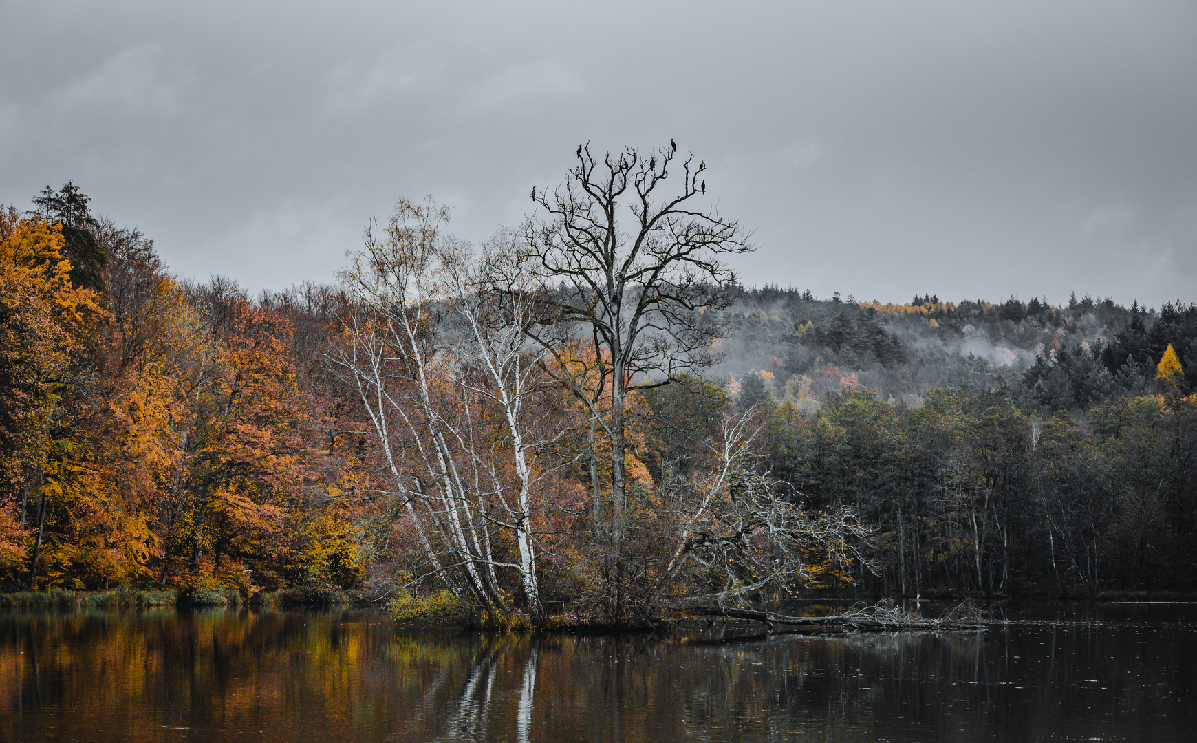 Herbstlicher Weiher