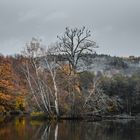 Herbstlicher Weiher