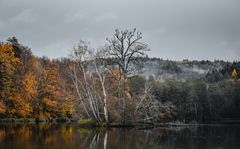 Herbstlicher Weiher