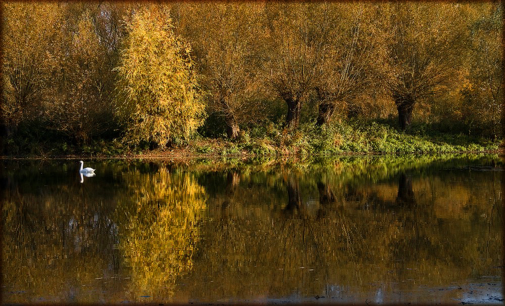 Herbstlicher Weiher