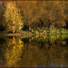 Herbstlicher Weiher