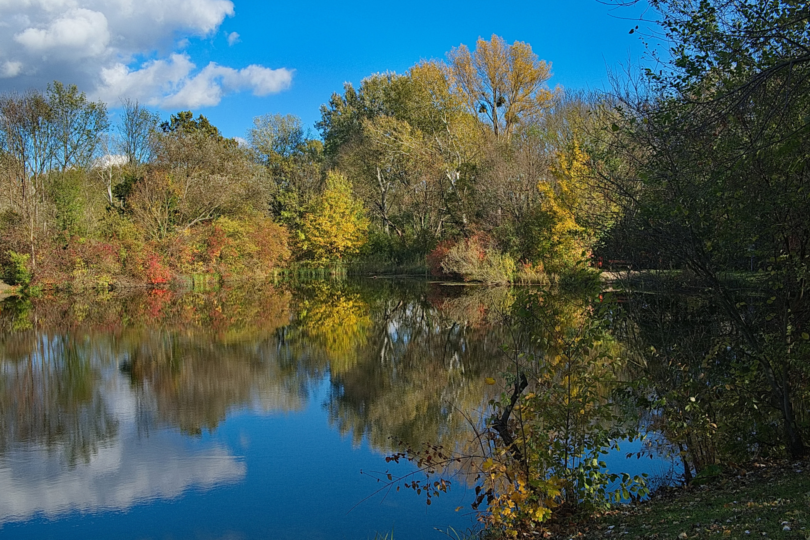 Herbstlicher Weiher