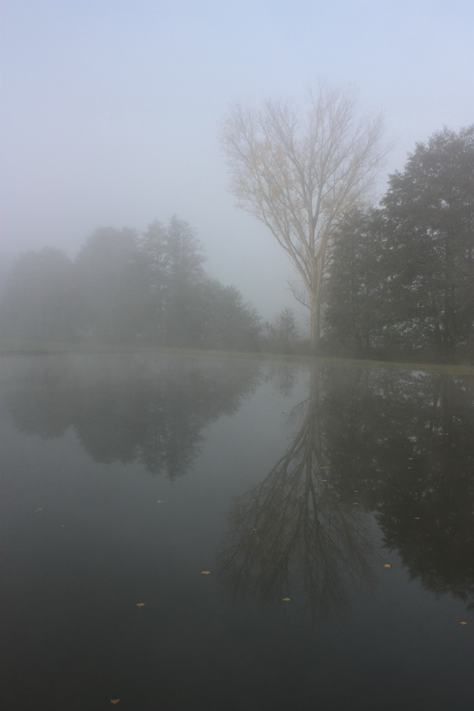 Herbstlicher Weiher