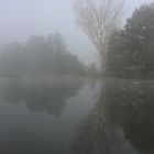 Herbstlicher Weiher