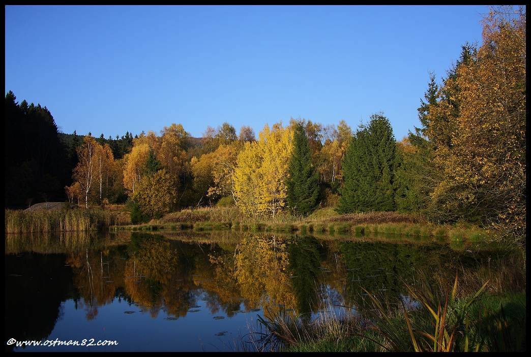 Herbstlicher Weiher im Littfetal