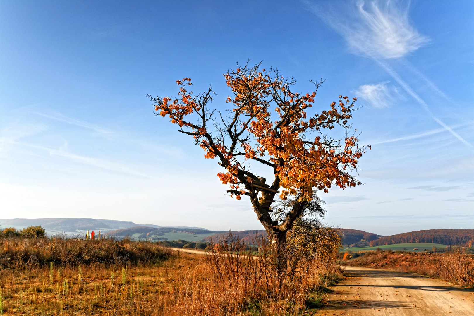 Herbstlicher Westblick in Heiligenstadt