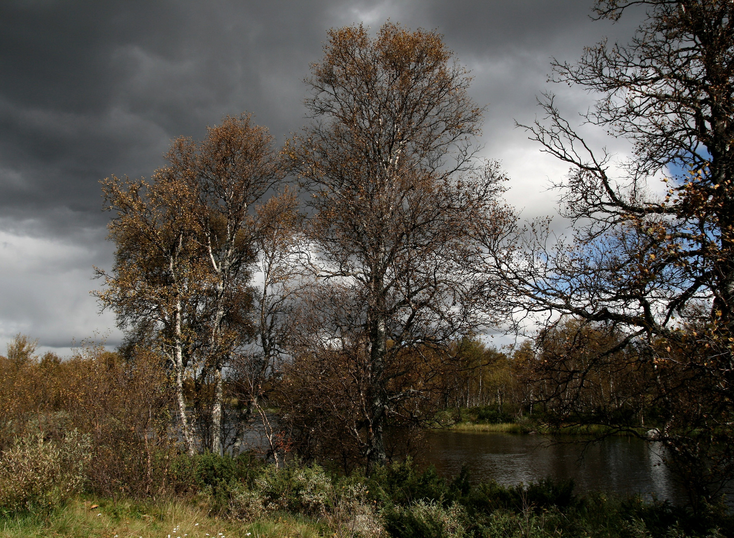 Herbstlicher Wetterumschwung im Fjäll...