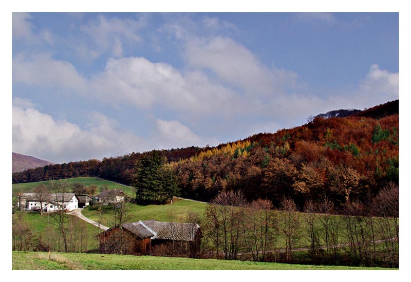 Herbstlicher Wienerwald (3)