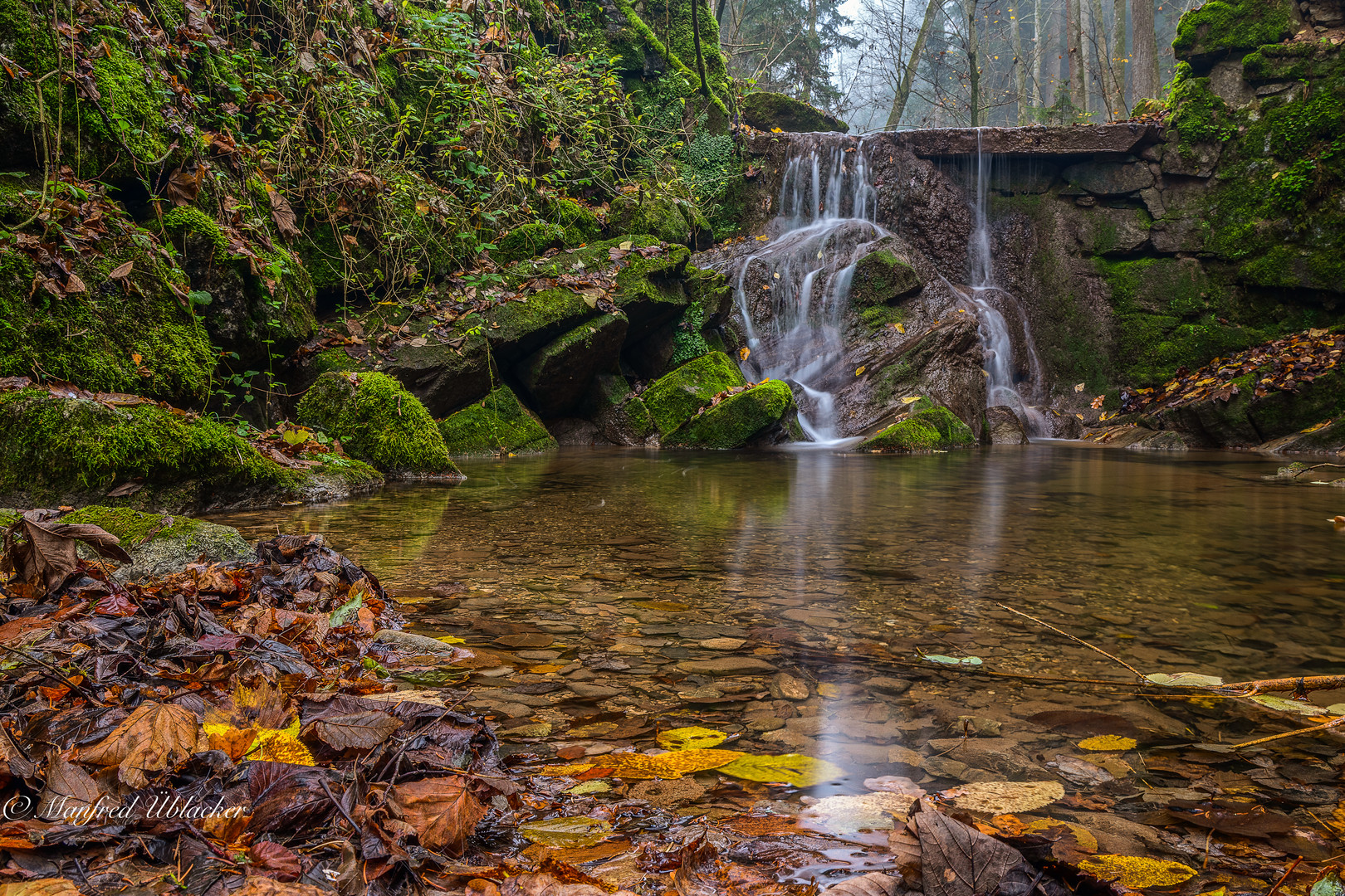 Herbstlicher Wildbach ...