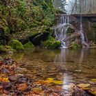 Herbstlicher Wildbach ...