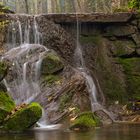 Herbstlicher Wildbach ...