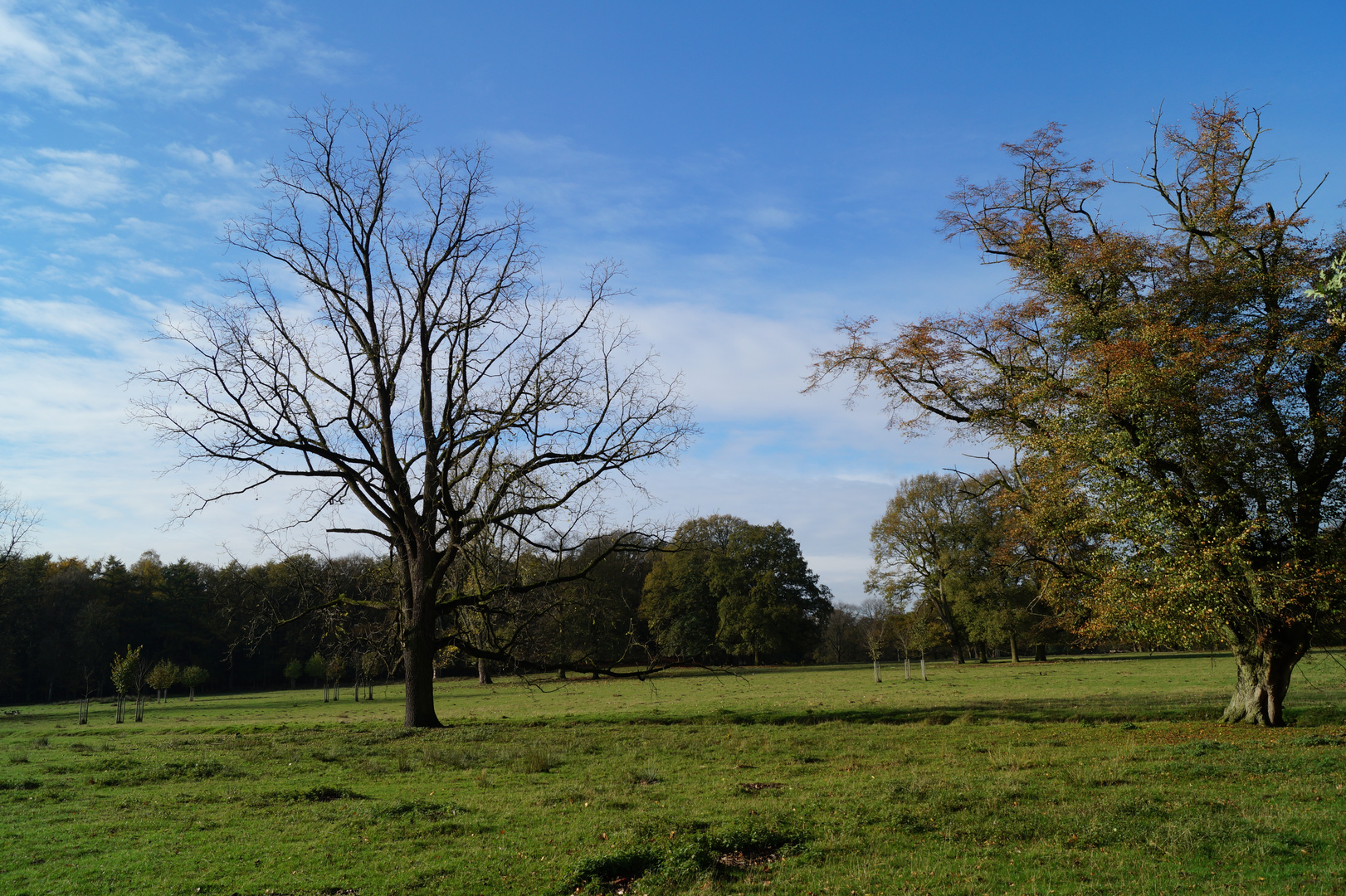 Herbstlicher Wildpark