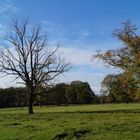 Herbstlicher Wildpark