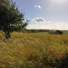 Herbstlicher Wind weht über Land