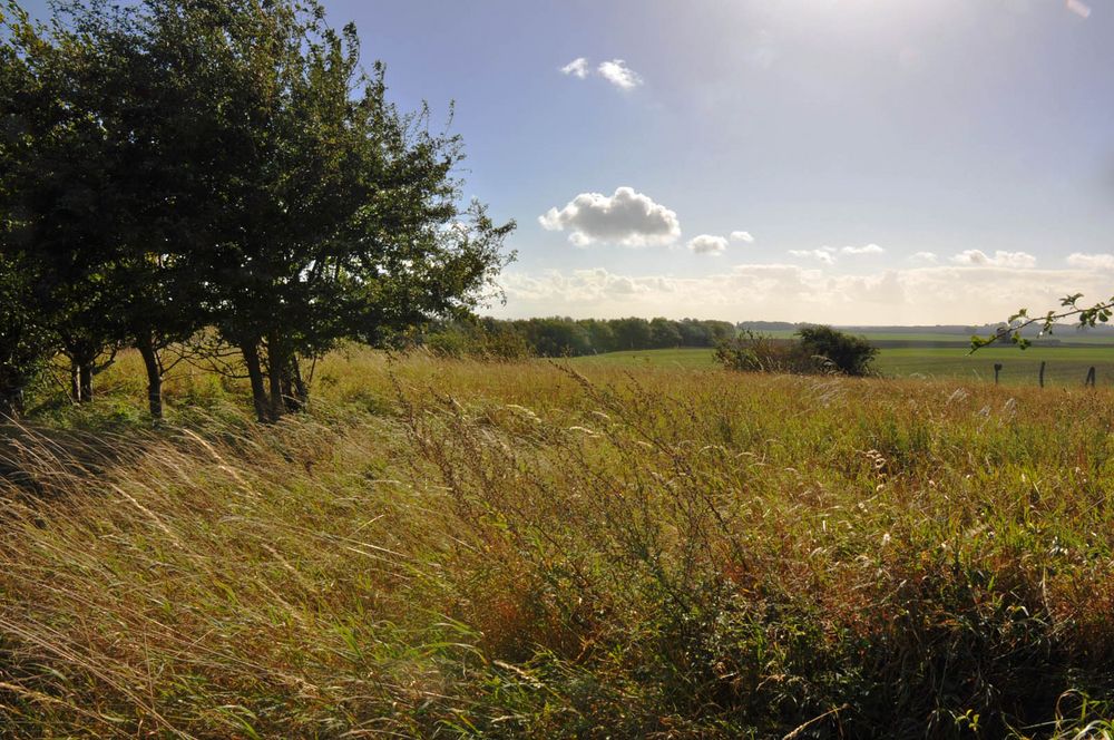 Herbstlicher Wind weht über Land