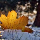 Herbstlicher Winter...