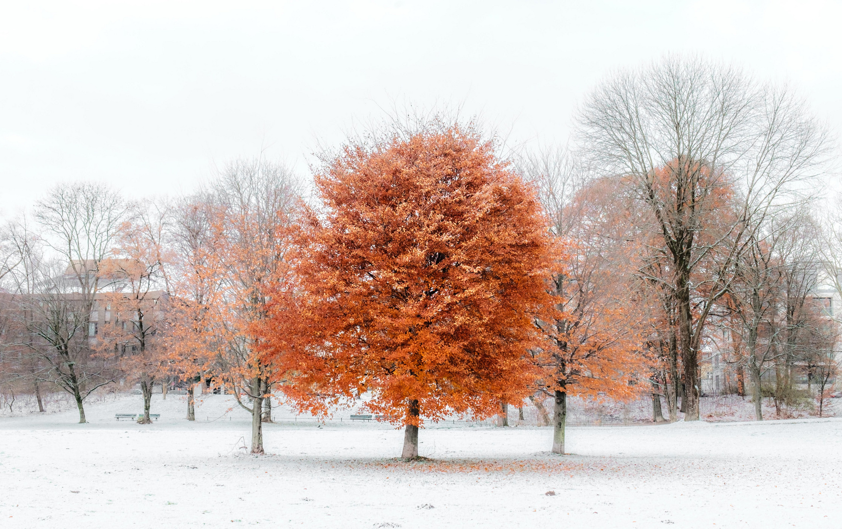 Herbstlicher Winter