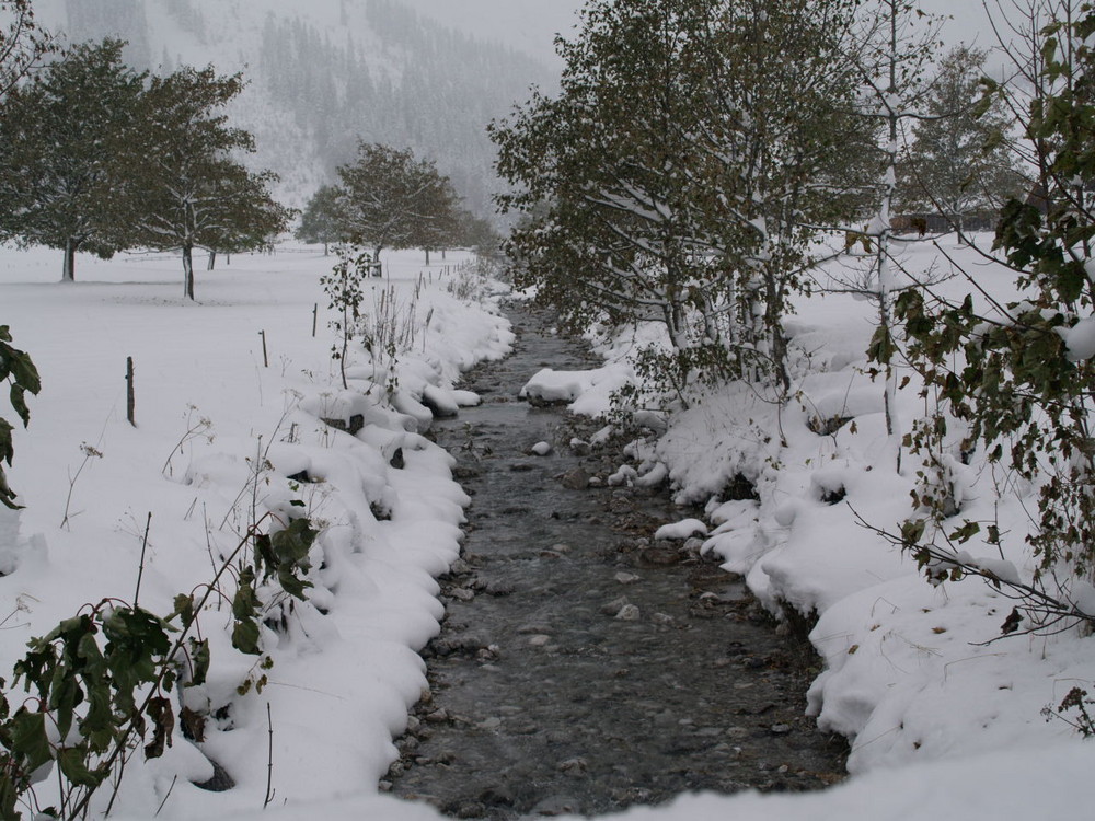 Herbstlicher Winter in Lenggries am 15.10.09