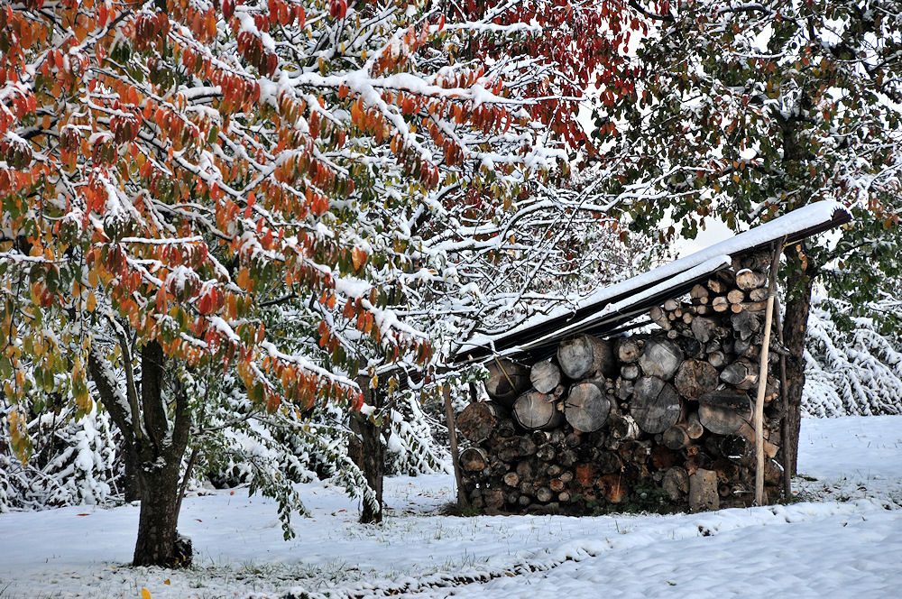 Herbstlicher Wintereinbruch