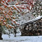 Herbstlicher Wintereinbruch