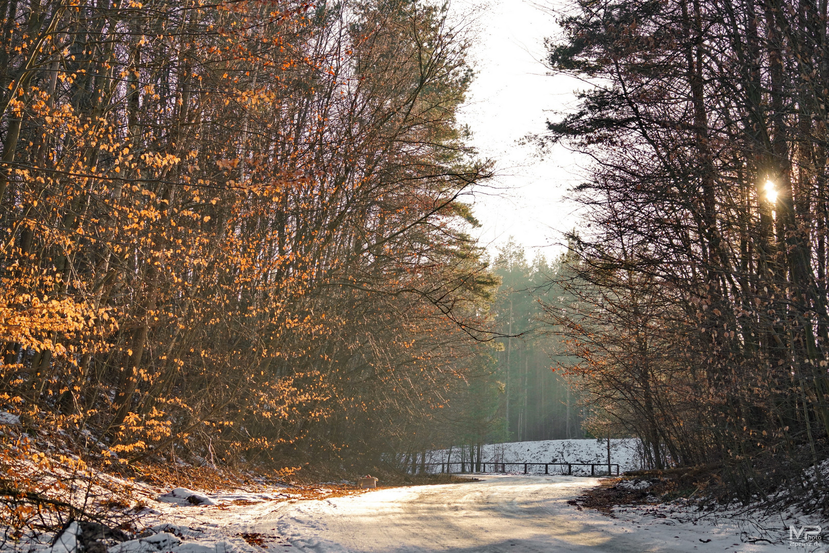 Herbstlicher Winternachmittag