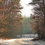 Herbstlicher Winternachmittag II