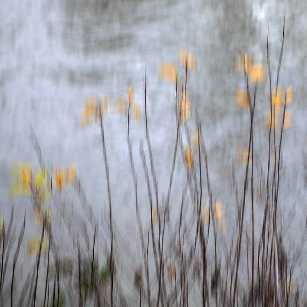 Herbstlicher Wusch