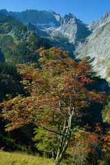 herbstlicher Zugspitzblick