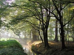 Herbstliches