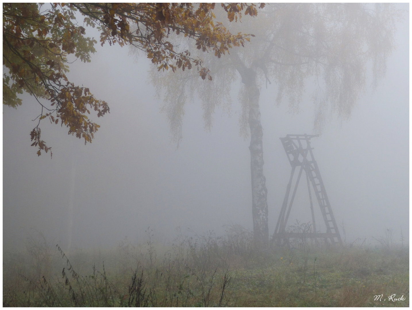 Herbstliches  102